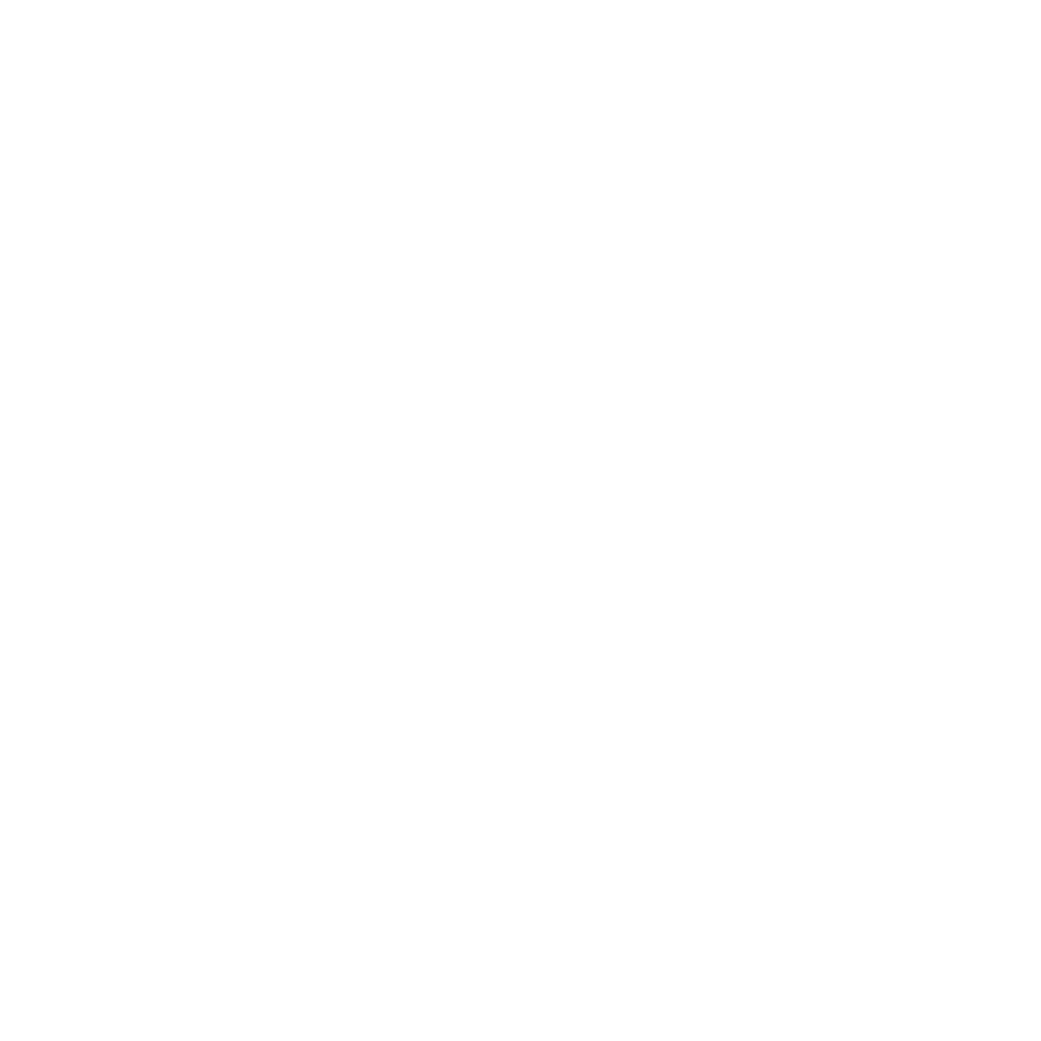FIT RICH Logo
